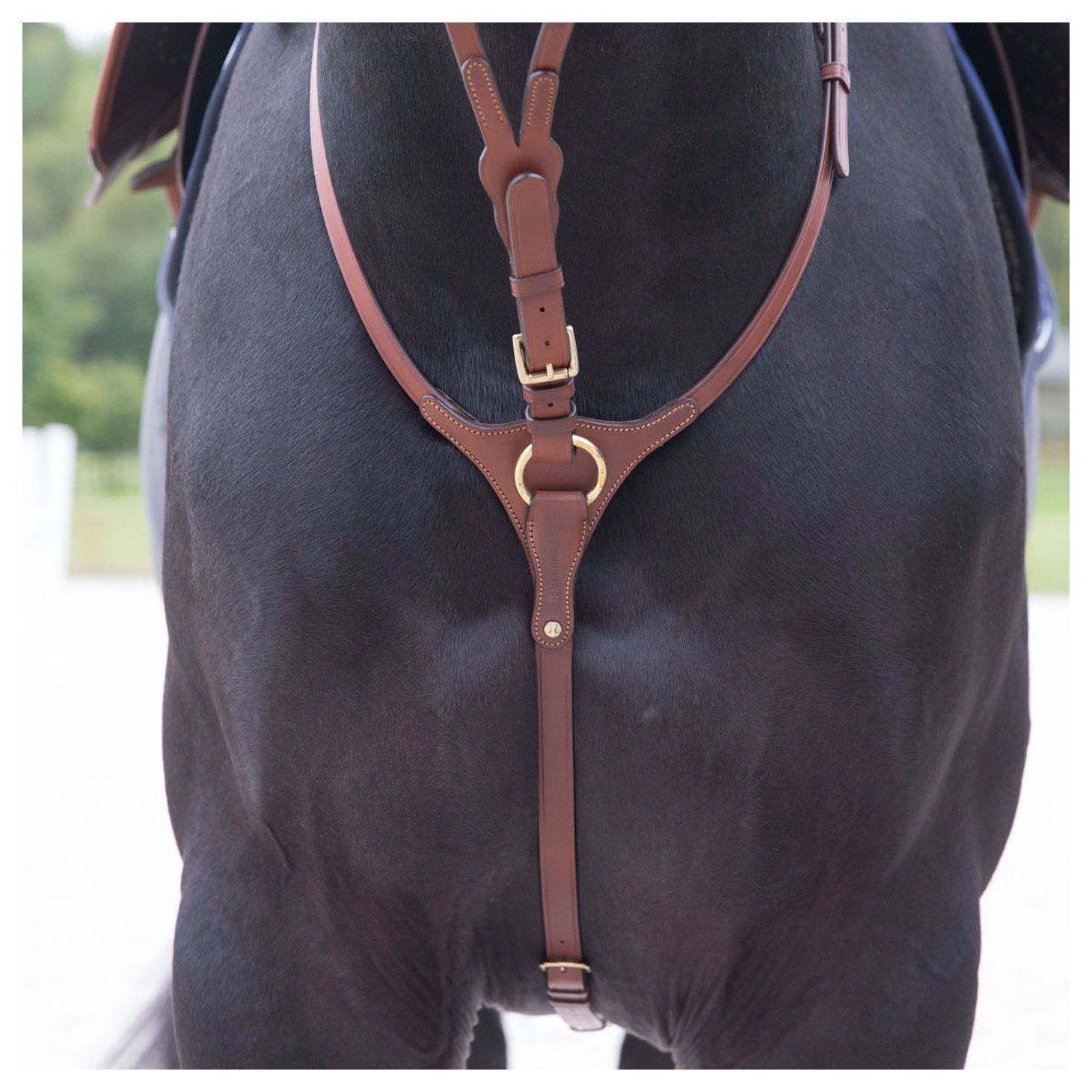 Running martingale