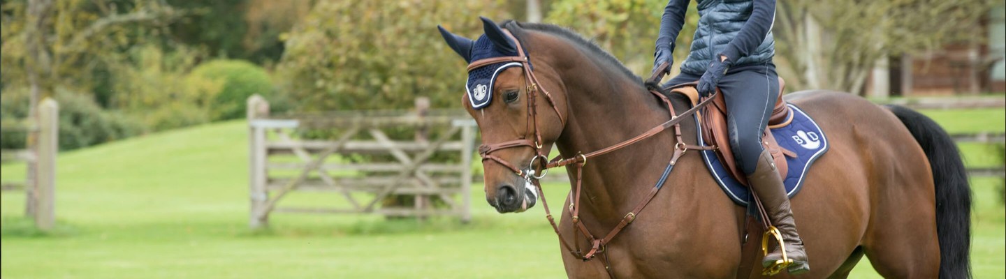 Saddle bag and Saddle cover